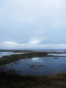 A rare blink of light over Loch Leven and the reseve