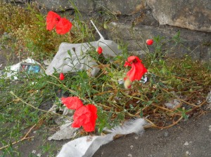 Flowers in the Dirt 2