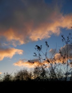 Sunset at Slaley Hall
