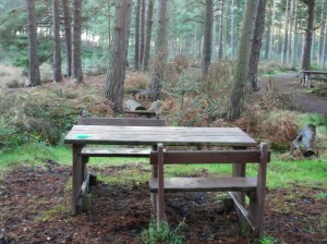 Picnic table for people who are not speaking to each other