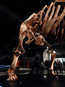 Titanosaur