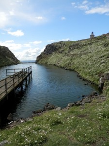 Loch with Eider ducks and puffins