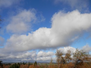 View from the lodge
